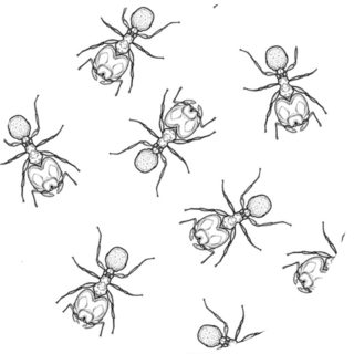 Seamless Pattern Of Monochrome Ants Sticker