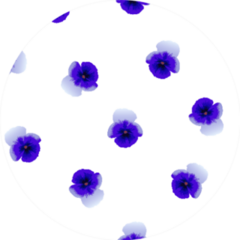 Seamless Pattern Of Purple Pansies Flowers Sticker