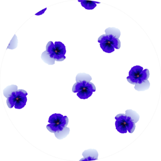 Seamless Pattern Of Purple Pansies Flowers Sticker