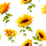 Seamless Pattern Of Sunflowers Sticker