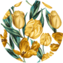 Seamless Pattern Of Yellow Tulips On A White Background Sticker