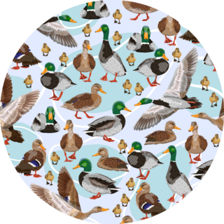 Seamless Pattern With Mallard Ducks Sticker