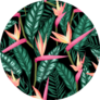 Seamless Tropical Bird Of Paradise Plant Pattern Sticker