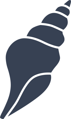 Seashell Conch Sticker