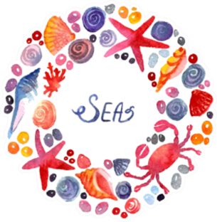 Seashell Frame Sea Text Sticker