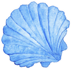 Seashell Nautical Watercolor In Blue Sticker