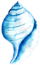 Seashell Watercolor Illustration In Blue Sticker