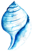 Seashell Watercolor Illustration In Blue Sticker