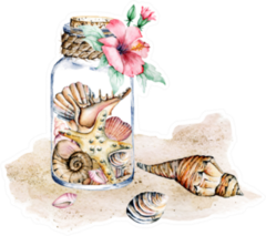 Seashells In  Glass Jar, Marine Scenery Watercolor Sticker