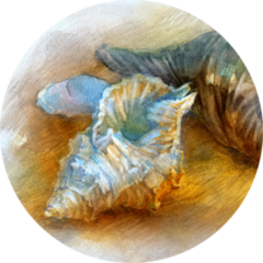 Seashells On The Beach Artwork In Watercolor Sticker