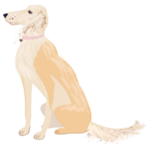 Seated Saluki Sticker