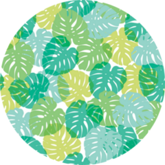 Seemless Pattern of Exotic Tropical Monstera Plant Sticker