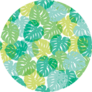 Seemless Pattern of Exotic Tropical Monstera Plant Sticker