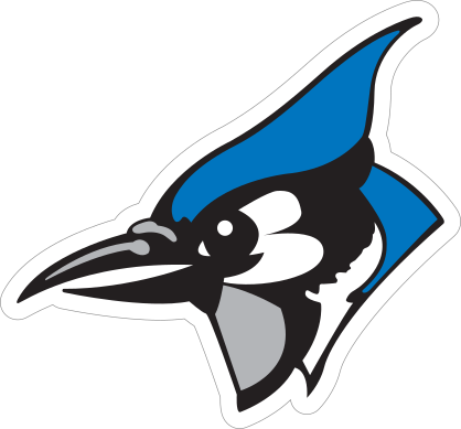 Serious Blue Jay Head Sticker
