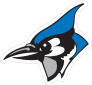 Serious Blue Jay Head Sticker