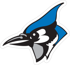 Serious Blue Jay Head Sticker