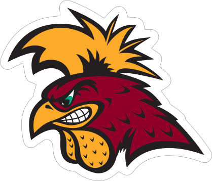 Serious Gamecock Mascot Sticker