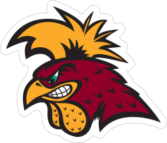 Serious Gamecock Mascot Sticker