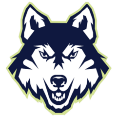 Serious Husky Sticker