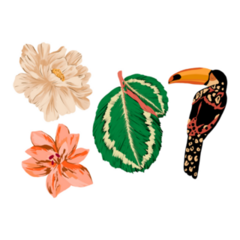 Set Flowers, Leaves And Toucan Sticker