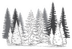 Set Of Coniferous Trees Silhouettes Winter Landscape Sticker