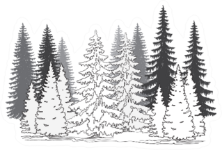 Set Of Coniferous Trees Silhouettes Winter Landscape Sticker