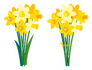 Set Of Daffodil Floral Illustrations Sticker
