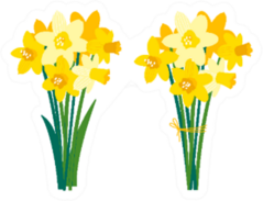 Set Of Daffodil Floral Illustrations Sticker