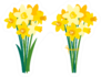 Set Of Daffodil Floral Illustrations Sticker