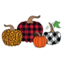  Set Of Diverse Fall Pumpkins Sticker