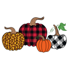  Set Of Diverse Fall Pumpkins Sticker