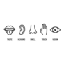  Set Of Five Human Senses With Nose Sticker