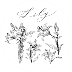 Set Of Hand-drawn Flowers Lily Sticker