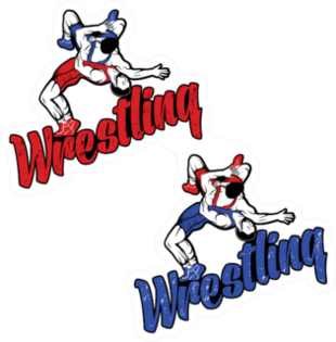 Set Of Hand Drawn Wrestling Sport Logos Sticker