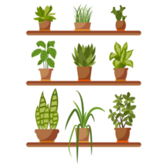 Set Of House Plant Sticker