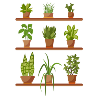 Set Of House Plant Sticker
