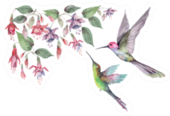 Set Of Hummingbird Birds In Flight Pink Fuchsia Flowers Sticker