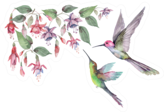 Set Of Hummingbird Birds In Flight Pink Fuchsia Flowers Sticker