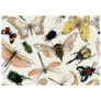Set Of Insects: Beetles, Butterflies, Moths Sticker