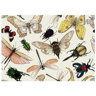 Set Of Insects: Beetles, Butterflies, Moths Sticker
