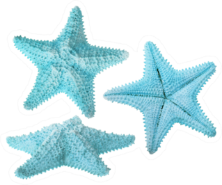 Set Of Light Blue Starfishes Isolated Sticker