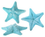 Set Of Light Blue Starfishes Isolated Sticker