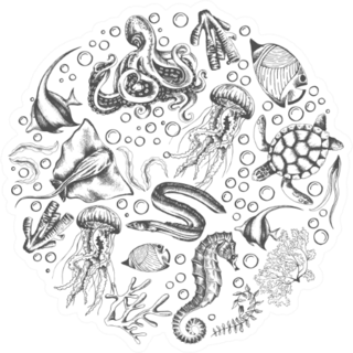 Set Of Marine Animals Jellyfish Outline Sticker