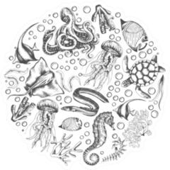 Set Of Marine Animals Jellyfish Outline Sticker