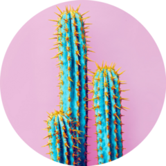 Set Of Neon Cactus In Mexico Sticker