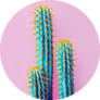 Set Of Neon Cactus In Mexico Sticker