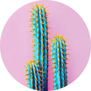 Set Of Neon Cactus In Mexico Sticker