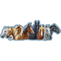 Set Of Portraits Of Different Horses Breeds On Blue Sticker