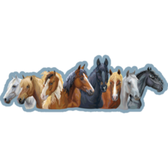 Set Of Portraits Of Different Horses Breeds On Blue Sticker
