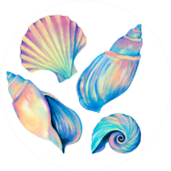 Set Of Seashells - Rainbow Watercolor Sticker